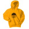Youth Core Fleece Pullover Hooded Sweatshirt Thumbnail